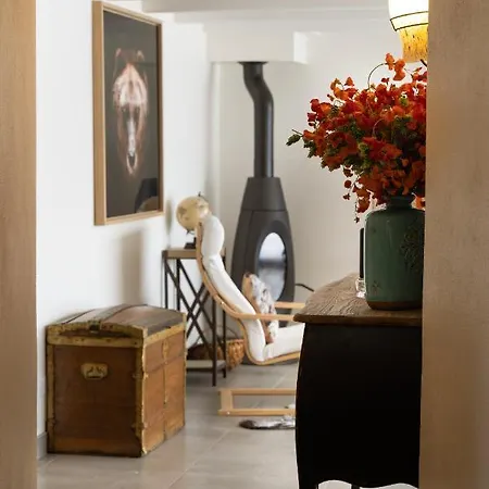 Magnifique Maison Au Coeur De Laguiole